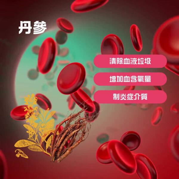 如意金丹 金裝水蛭素7200ATU｜心血管健康｜提升血液循環｜成份天然 - Image 9