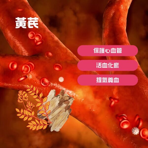 如意金丹 金裝水蛭素7200ATU｜心血管健康｜提升血液循環｜成份天然 - Image 13