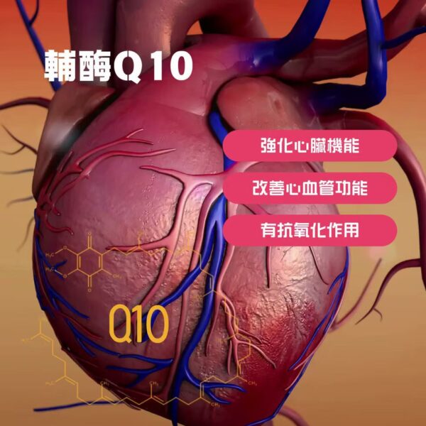 如意金丹 金裝水蛭素7200ATU｜心血管健康｜提升血液循環｜成份天然 - Image 10