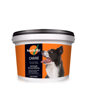 Canine澳寵瑰寶®健康營養補充劑 1.5 公斤 (3.3磅)