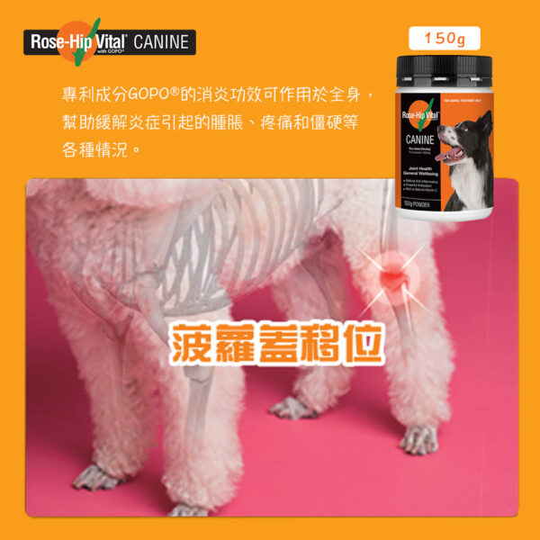 Canine澳寵瑰寶®健康營養補充劑 150克 (5.2盎司) - Image 4