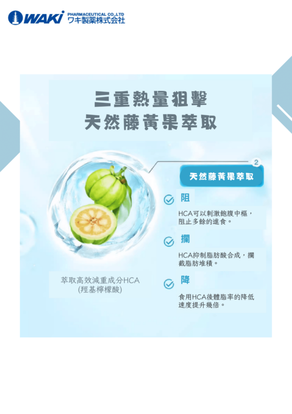 VATY 燃脂益生菌 益生菌ガルシニア - 狙擊小肚子 高效燃脂 - Image 6