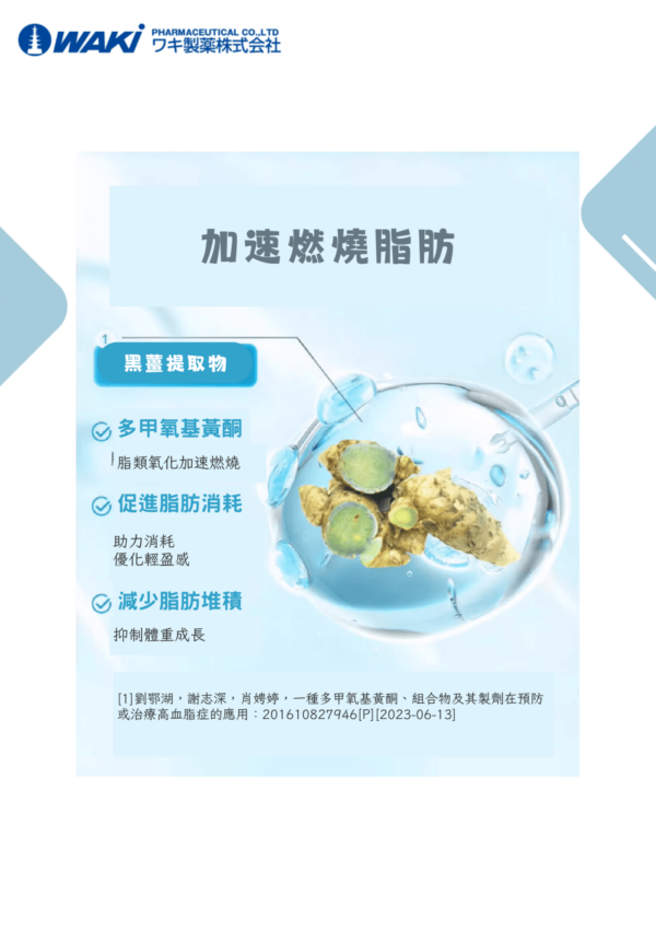 VATY 燃脂益生菌 益生菌ガルシニア - 狙擊小肚子 高效燃脂 - Image 5