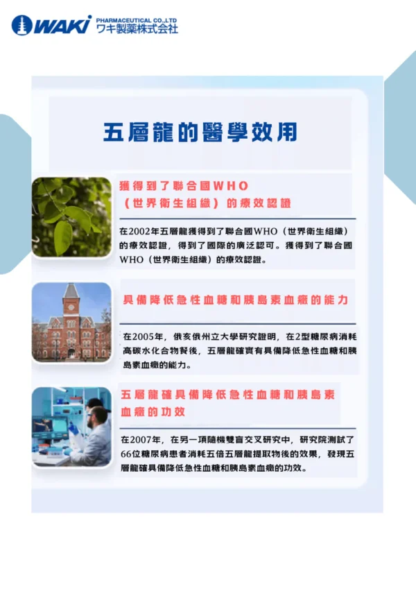 WAKi 五層龍屬 サラシアエキス(五層龍属) - 抑製糖吸收 抑脂減肥 - Image 2