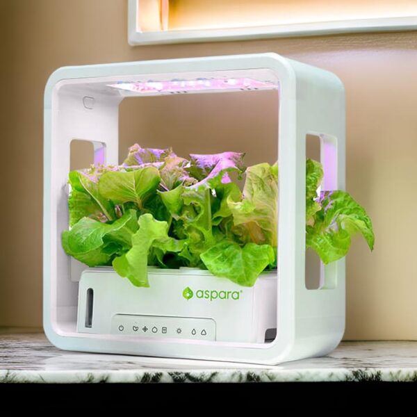 aspara® Stylist Lite 智能種植機 (家用版) (香港行貨) - Image 2