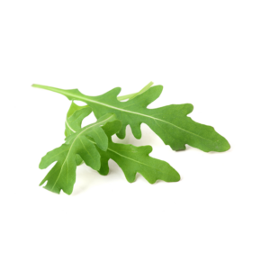 種子套裝 – 8 個種植苗囊 (火箭菜)