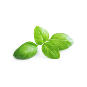種子套裝 – 8 個種植苗囊 (甜羅勒)