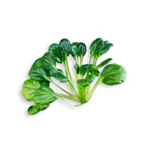 種子套裝 – 8 個種植苗囊 (塌棵菜)