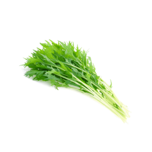 種子套裝 – 8 個種植苗囊 (日本水菜)
