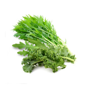 種子套裝 – 8 個種植苗囊 (沙律精選)