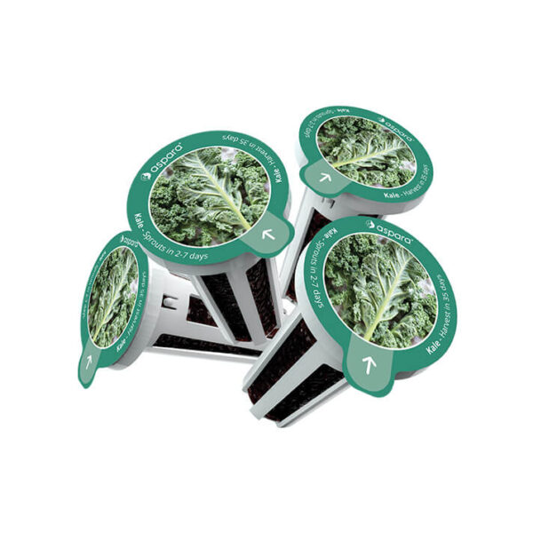 種子套裝 – 8 個種植苗囊 (羽衣甘藍) - Image 3