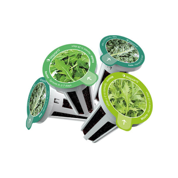 種子套裝 – 8 個種植苗囊 (沙律精選) - Image 3