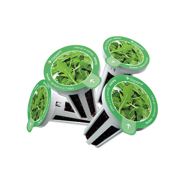 種子套裝 – 8 個種植苗囊 (火箭菜) - Image 3