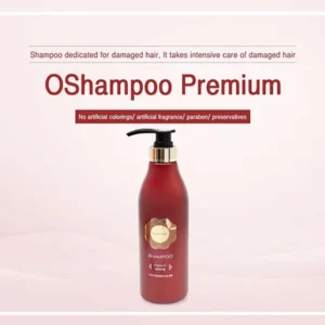 Professional 精選韓方人蔘防脫髮洗髮水 油性髮質適用